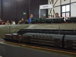 DSCF0638.jpg
