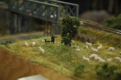 DSC_0916.JPG