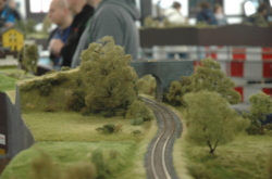 DSC_0698.JPG