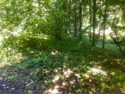 07_08_2021_przejazd_za_mostem_Stara_Bialowieza.jpg