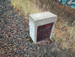 IMG_20211117_082129_compress19.jpg