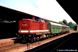 1995 - Falkenstein - 202 166-5 z poc. os., fot. Tom Radics (v100-online.de).jpg