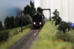 IMG_6957.JPG