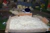 Dsc02681a.jpg