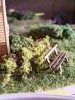 000_0248.JPG