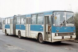 bus_ikarus2800275.jpg