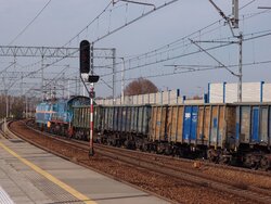 PA306255 - 2022.10.30 - Kraków Mydlniki.JPG