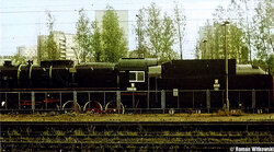 ty246-22-rw1.jpg