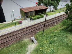 jelcz4.jpg