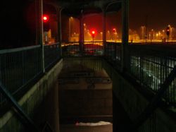 DSC09073.jpg
