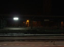 DSC09082.jpg